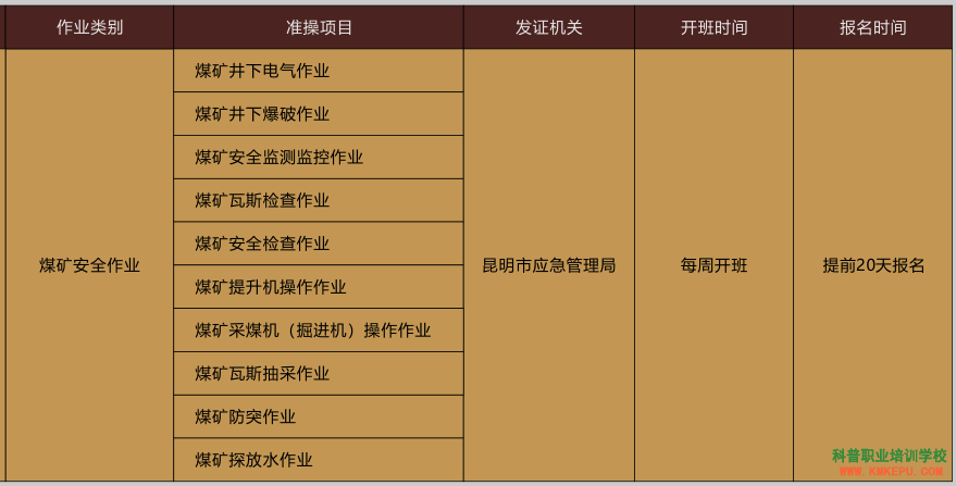 2020年云南省特种作业与特种设备作业考试报名简章